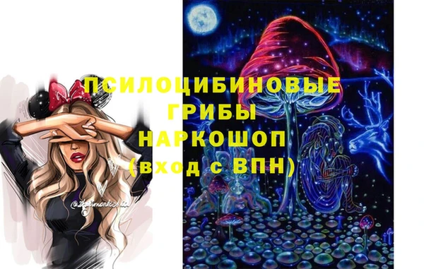 хмурый Алексеевка