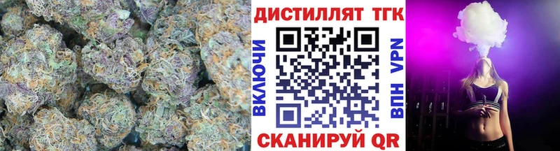 ТГК концентрат Сенгилей