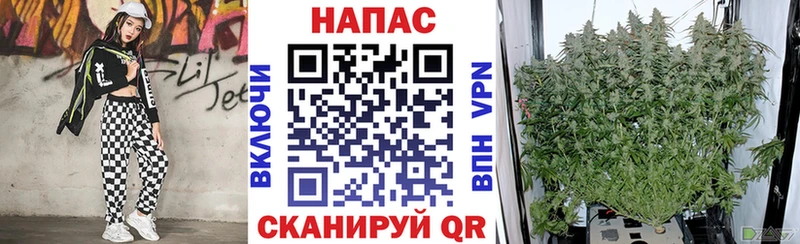 Канабис MAZAR  Сенгилей 